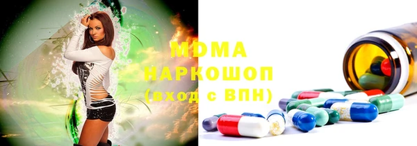 индика Алексин