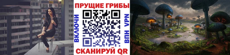 Псилоцибиновые грибы мухоморы как найти закладки MEGA рабочий сайт Белый